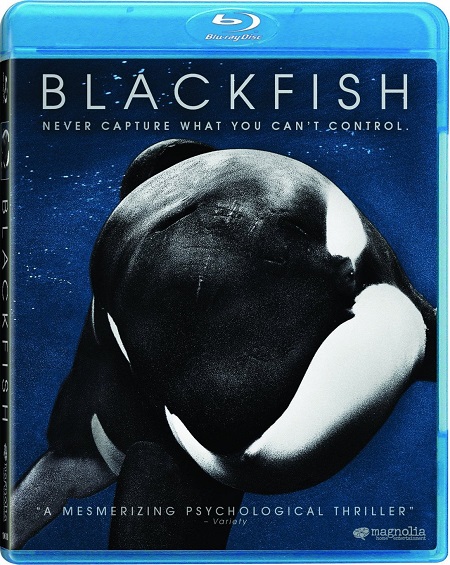 Blackfish (2013) BluRay