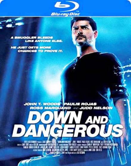 Down and Dangerous (2013) BluRay