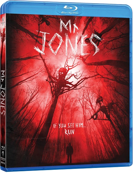 Mr. Jones (2013) BluRay