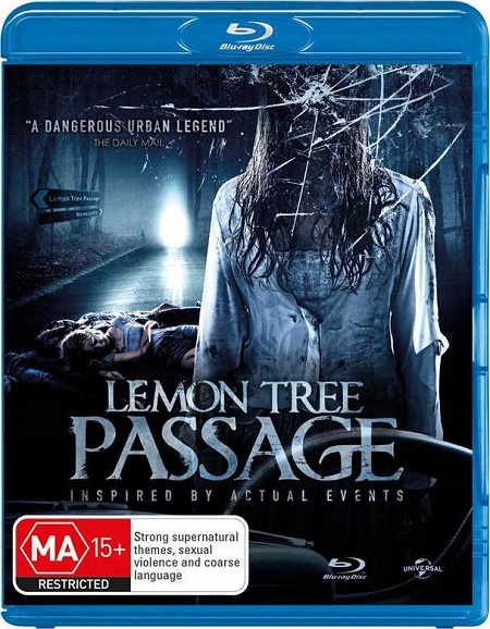 Lemon Tree Passage (2013) BluRay