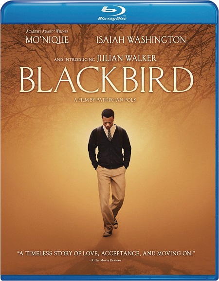 Blackbird (2014) BluRay