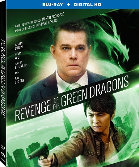 Revenge of the Green Dragons (2014) BluRay