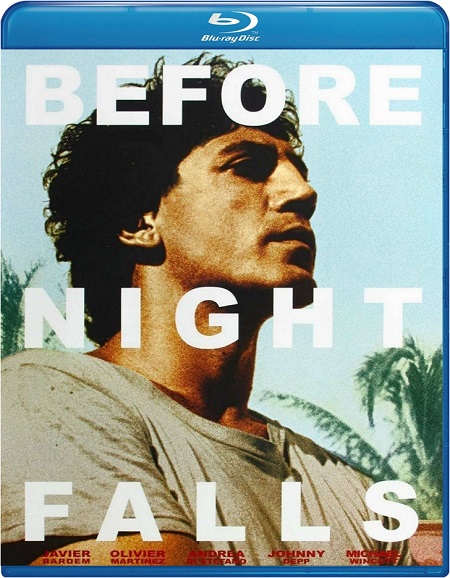 Before Night Falls (2010) BluRay